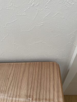 HILMAハーフオーバル型にマットを敷いた写真（辺カーブがない側の角）